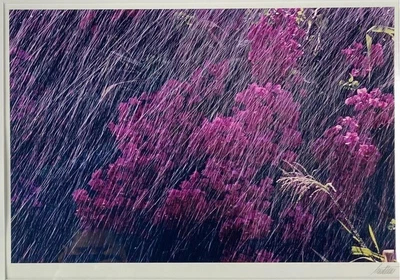 $1499.99 • Buy ERNST HAAS Nairobi, Kenya, 1970