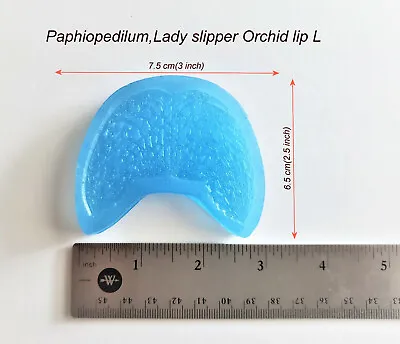 Veiner Resin Molds Paphiopedilum Orchid Lady Slipper Orchid Lip L#Ak049. • $5.29