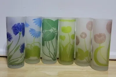 Vintage HORCHOW COLLECTION 6 Piece Botanical Themed Cocktail Glasses • $94.99