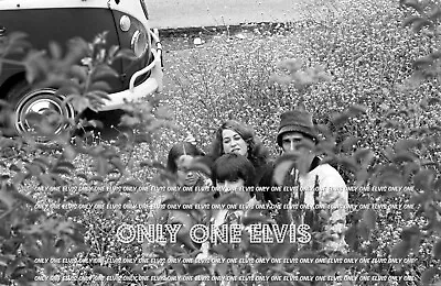 1966 MAMAS & The PAPAS (PHOTO) JOHN & MICHELLE PHILLIPS Denny Doherty CASS 048 • $2.72