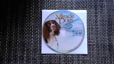 Miracle Dogs (DVD 2003 Full Frame) • $3.51