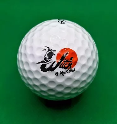 The Witch Golf Links Of Myrtle Beach Logo Golf Ball (CLOSED COURSE) • $11.95