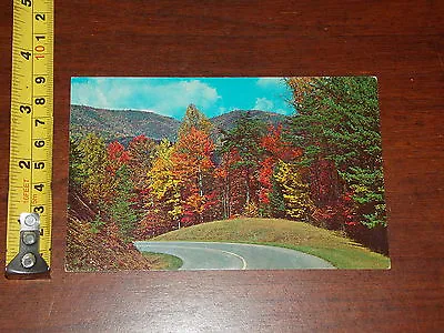 $1.80 • Buy Postcard Rare Old Vintage Fall Color Scene Great Smoky Mountains National Park