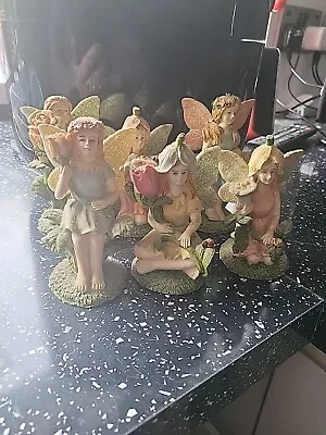 Academy Fairy Ornaments Figurines. • £15