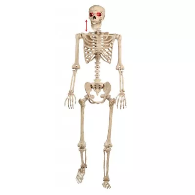 5' Life Size Poseable Animated Talking Skeleton LU Halloween Prop Haunted House • $92.95