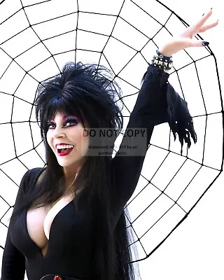 Elvira Mistress Of The Dark - 8x10 Halloween Publicity Photo (nn-183) • $8.87