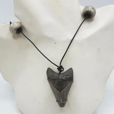 Statement Necklace Sharks Tooth Megalodon Pendant • $54.99