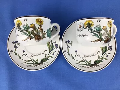 Villeroy & Boch Botanica Luxembourg  (2) Tea Cups And (2) Saucer Very Nice! • $10