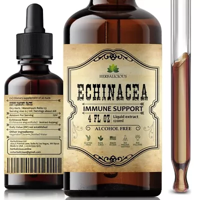 Echinacea Extract Liquid Drops Antioxidant Rich Formula For Immune Function 4oz • $19.99