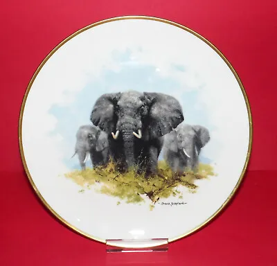 WEDGWOOD * David Shepherd Wildlife Collectors Plate * Elephant * 10.75  (27cm) * • £9.99