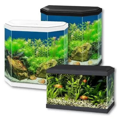 Ciano Aqua Aquarium 20 LED 30 Hex Lighting Hood Filter Beginner Glass Fish Tank • £52.24