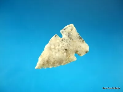 Super Fine Authentic Montana Washita Northern Point Ex Dr Tatu Arrowheads COA • $95