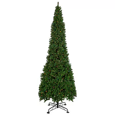 Northlight 16'  Pendleton Spruce Slim Christmas Tree Multicolor Lights • $2122.49