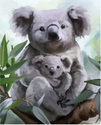 Paint By Numbers - KOALAS 40x50cm - Frame / Frameless / Gift-wrapping - AU Stock • $59