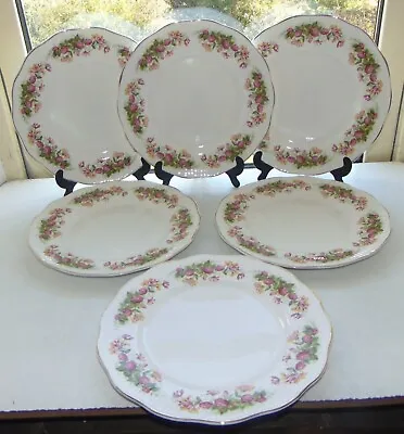 Queens Rosina China Woman & Home 6 X Dinner Plates Clover & Honeysuckle C1960s • £15