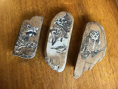 Driftwood Wall Hanging Art Paint Signed Handmade Vintage Raccoon Owl Fox Cabin • $39.99