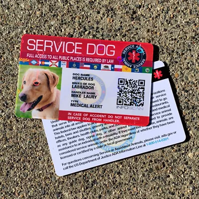 $15.99 • Buy Service Dog Id Card For Service Animal Professional Ada  Holographic