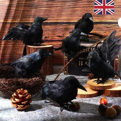 6PCS Black Lifesize Raven Movie Prop Fake Crow Halloween Hunting Decor Birds UK • £8.16