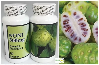 NONI MORINDA CITRIFOLIA 60 CAPS EXTRACT 500 Mg Powerful Antioxidant • $10.89