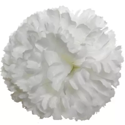 100 Carnation Picks - White Faux Carnation Flower Heads Wedding Decoration DIY • £24.99