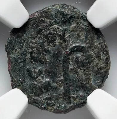NGC Ch F FINE Pontius Pilate Judaea Authentic Jesus Bible Coin 26-36 AD Prutah • $150.14
