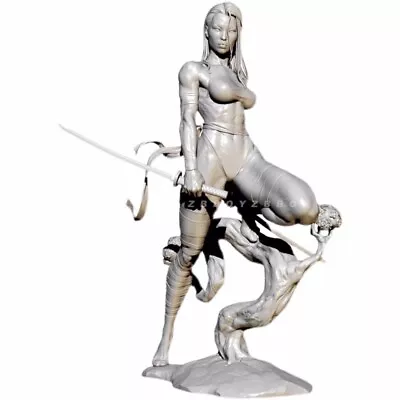 1/35 Resin Figure Model Kit Fantasy Double Blade Female Swordsman Unassembled • $17.07