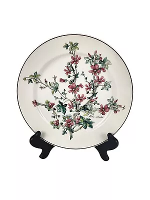 Villeroy & Boch ☆ Botanica ☆ 10 5/8  DINNER PLATE Malva Silvestris No Root • $29.99