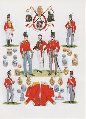 Vintage British Uniform Print 1812-1815 Infantry Of The Line Officers • £27