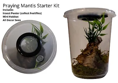 £12.99 • Buy Praying Mantis Starter Kit Includes Mini Habitat Insect Pooter & Decor