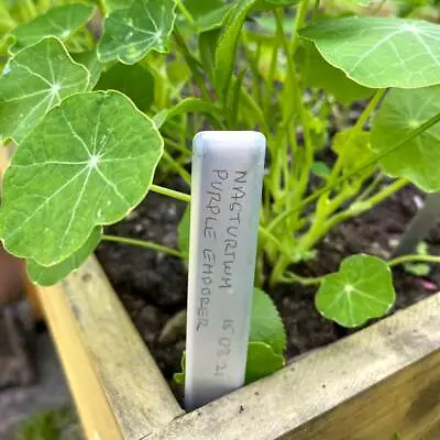£4.99 • Buy Tildenet Aluminium Plant Labels Garden Herb Metal Tags Name Markers Pack Of 20
