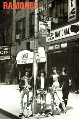 Ramones Poster 24 X36  Vintage New York Photo Scene Punk Rock • $24.95