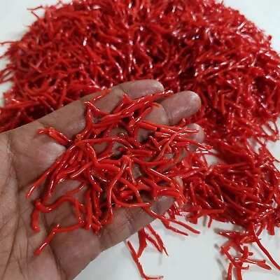 Italian Natural Red Coral Branch Mediterranean Sea Red Coral Gemstone 25 Ct Lot • $29.47