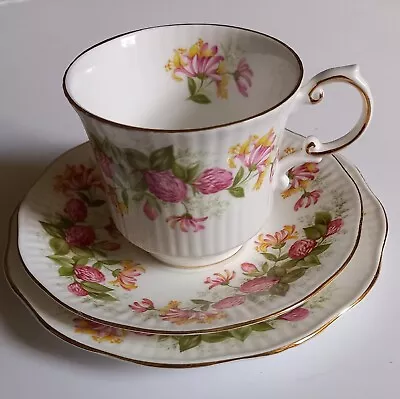 Vintage Queens Rosina China Co ‘woman And Home ‘ Trio  Footed Cup Saucer &plate • £5.99