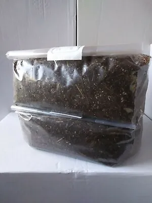  21 Lbs.4-5.4lbs Bags Horse Manure Compost Bulk Mushroom Substrate.  • $40