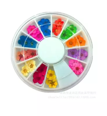 12 Lattice/Color 3D Nail Art Sticker Wheel Dried Flower DIY Tips Manicure Decors • $7.05