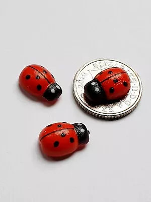 3 LADYBUG Ladybird Mini Fairy Garden Micro Dolls House Bonsai Landscape Ornament • £1.95