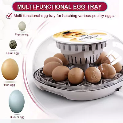 12 Egg Incubator Fully Automatic Digital Temperature Chicken Duck Eggs Poultry • $46.39