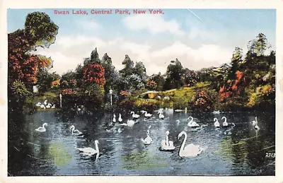 Postcard Swan Lake Central Park New York NY WB • $4.99