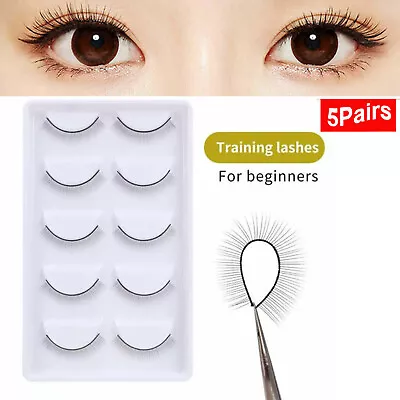 5Pairs Natural Black False Eyelashes Strip Eye Lashes Eye Lashes Makeup Practice • $5.85