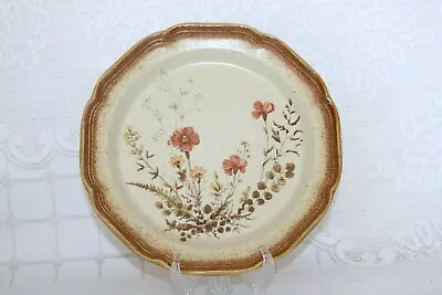 Mikasa WHOLE WHEAT JARDINIERE E8000 / E8016 10 7/8  Dinner Plates (2) • $15.59