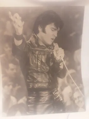 Advanced Graphics ELVIS PRESLEY In Concert Print #377 16x20 Vintage 1987 • $12.65