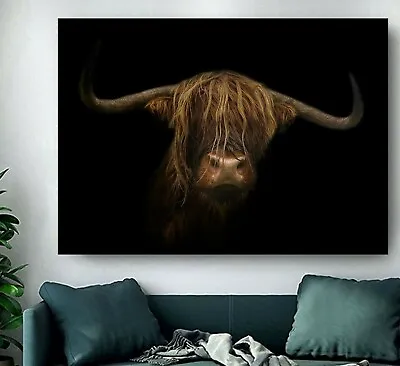 £7.99 • Buy Gorgeous Highland Cow Ginger Face FRAMED CANVAS WALL ART PICTURE Or PAPER PRINT