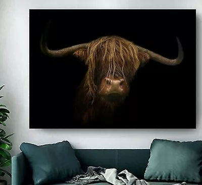 Gorgeous Highland Cow Ginger Face FRAMED CANVAS WALL ART PICTURE Or PAPER PRINT • £7.99