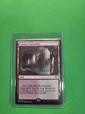 Magic: The Gathering - Verdant Catacombs #260 • $12