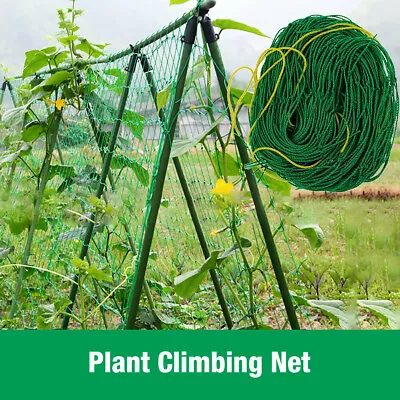 12*6FT Garden Plant Climbing Net Trellis Netting Mesh Support Fruits Vine Veg • $11.09