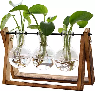 Plant Terrarium With Wooden Stand Air Planter Bulb Glass Vase Metal Swivel Hold • $28.82