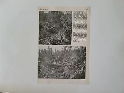 Marines Mortar Crew Pacific Campaign Japan 1945 World War 2 WW2 Picture Sheet • $16