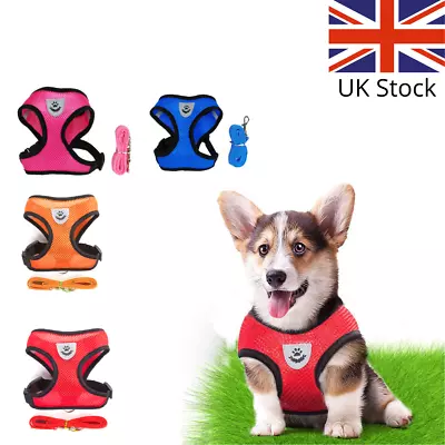 Pet Dog Cat Puppy Adjustable Small Reflective Vest Harness & Lead Mesh Fabric UK • £3.99