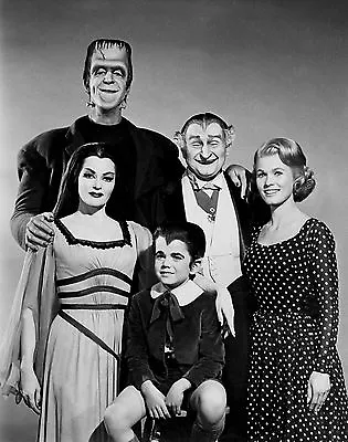  The Munsters  Cast From The Television Sitcom - 8x10 Publicity Photo (da-582) • £8.56