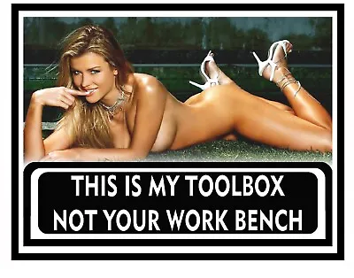 Funny Toolbox Sticker - Perfect For Garage - Sexy Girl Tool Box MADE IN USA A001 • $5